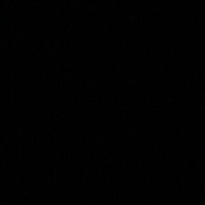 Meet your Posher, Dylan